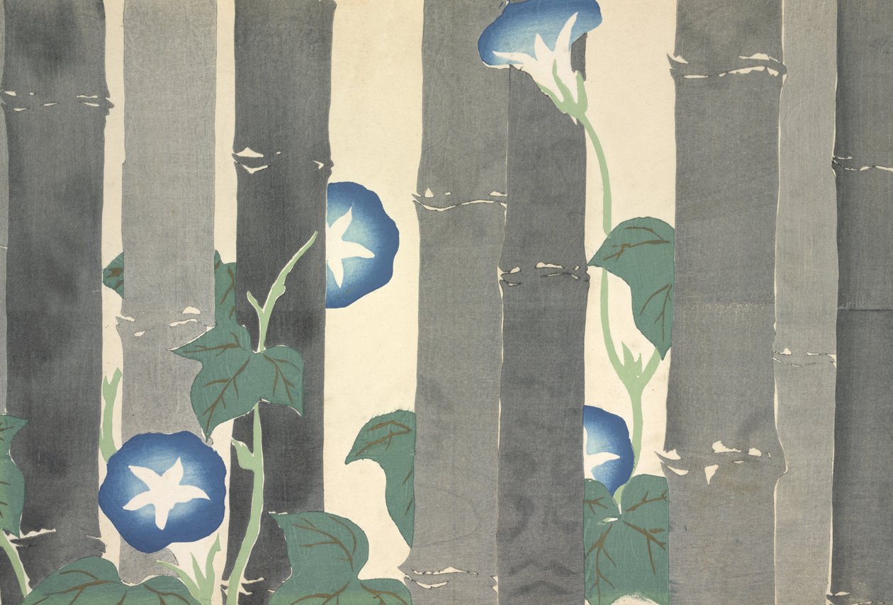 Asagao, Momoyo-gusa