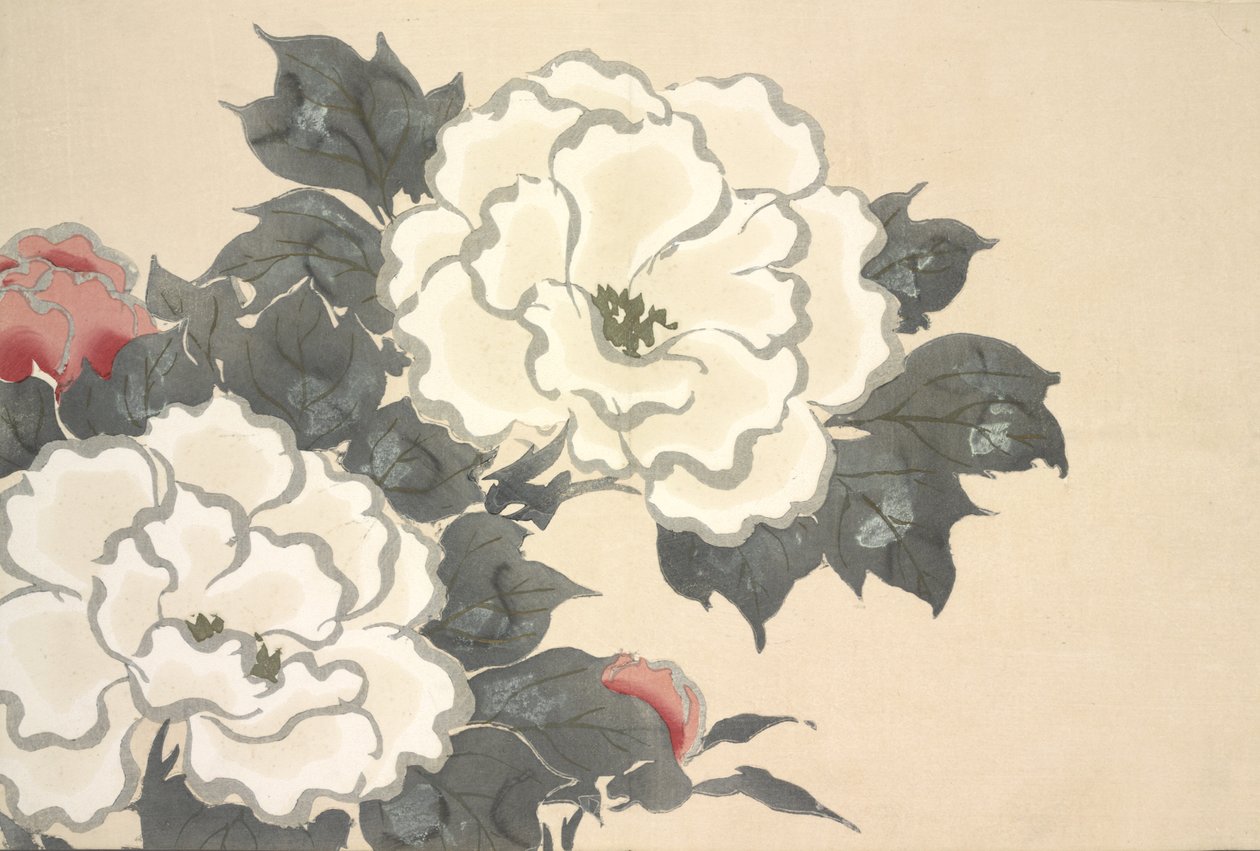Fukami-Gusa, Momoyo-gusa