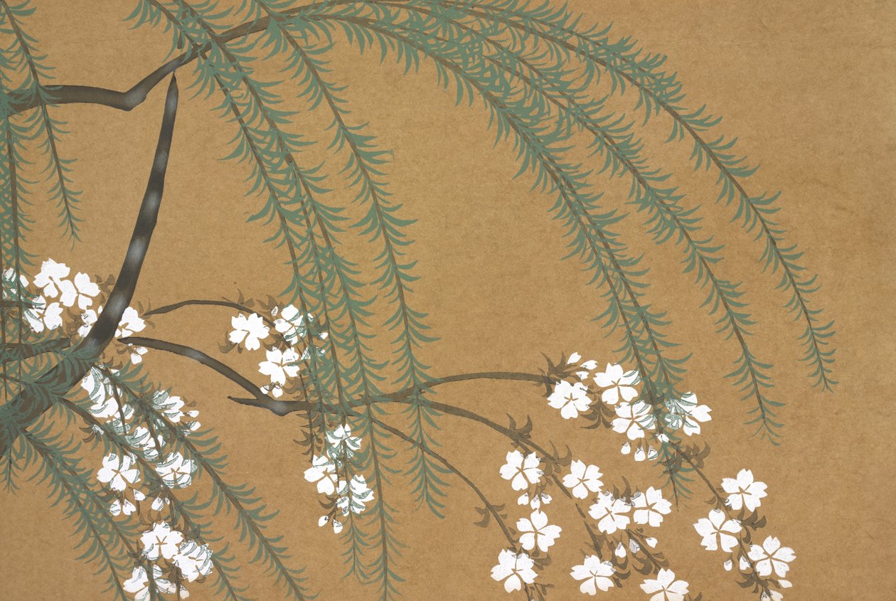 Sakura Yanagi, fromomoyogusa by Kamisaka Sekka