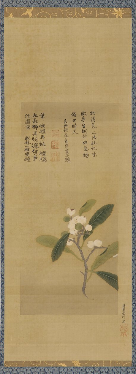 Yenidünyanın bir dalı, Edo dönemi, 18. yüzyıl. by Kanô Eisen