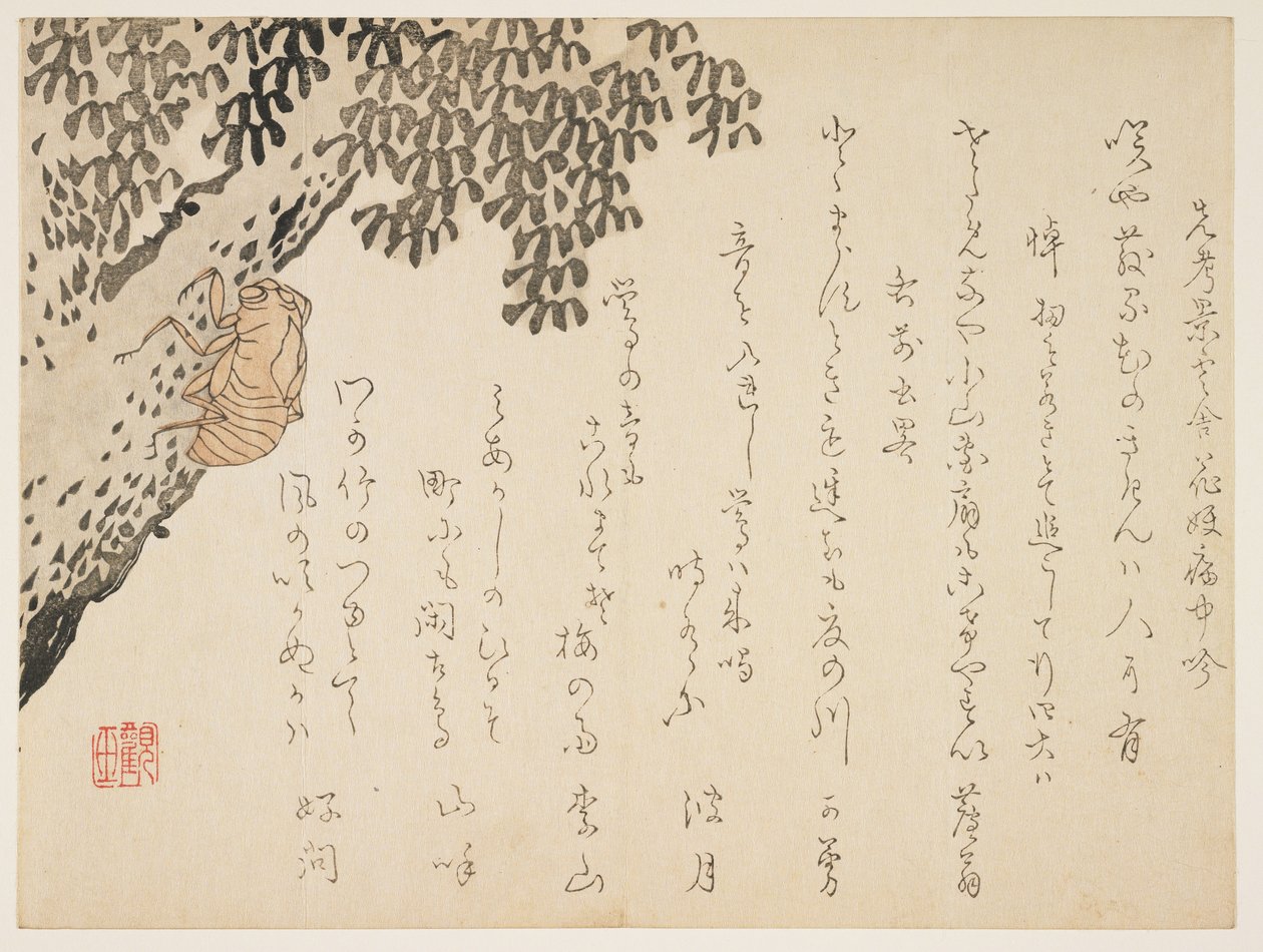 Bir ağustosböceği kabuğu, c.1848-53 (renkli tahta baskı) by Kangyoku Hgan