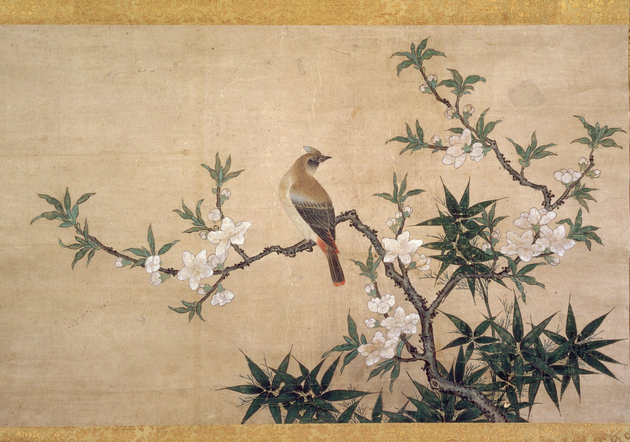 Şeftali çiçeği üzerine kuş, c.1550-60 (kağıt üzerine sulu boya) by Kano Yukinobu