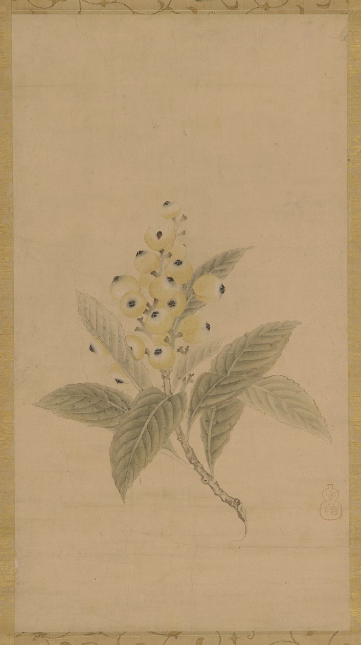 Bir muşmula dalı, Edo dönemi, 17. yüzyıl. by Kanō Tan’yū
