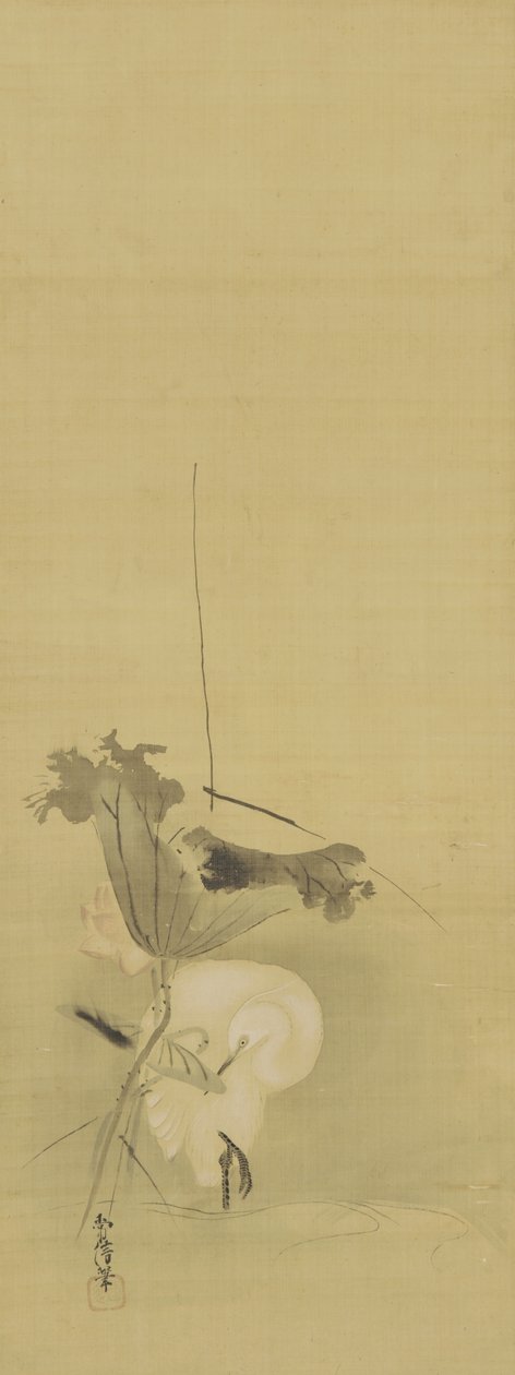 Balıkçıl ve nilüfer, Edo dönemi, 17. yüzyılın ortası - 18. yüzyılın başı (ipek üzerine mürekkep ve renk) by Kano Tsunenobu