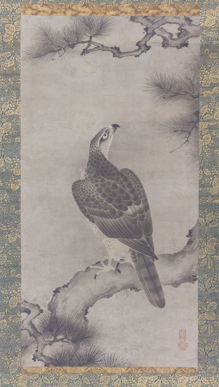 Bir Pine Shoo zu üzerinde şahin, 16. yüzyıl. by Kano Yukinobu