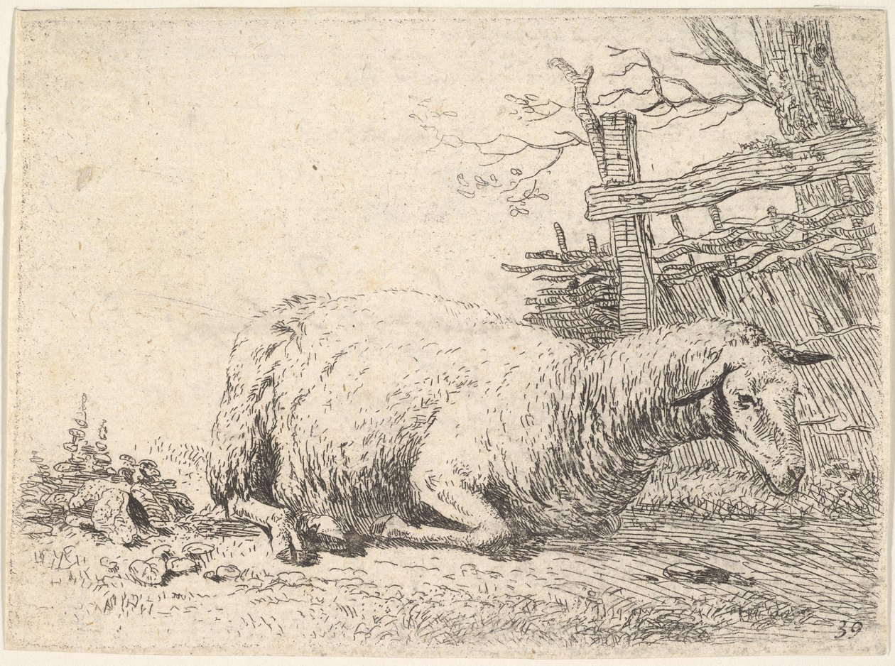 Ahşap bir çitin yanında, bacakları vücudunun altında katlanmış halde yatan bir koyun, o..., ca. 1655. by Karel Du Jardin