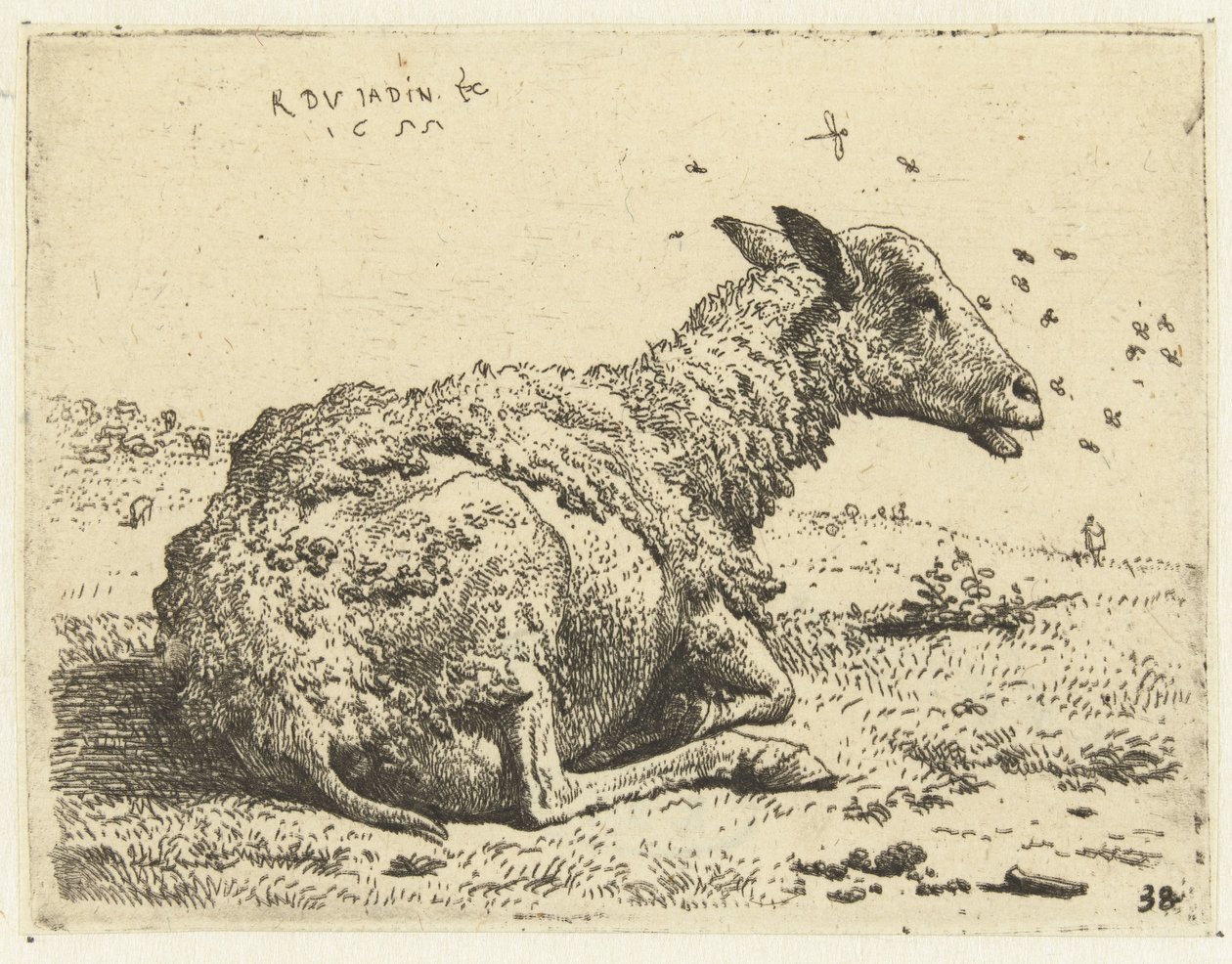 Sineklerle yatan koyun by Karel Du Jardin