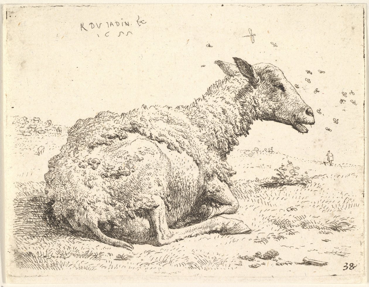 Başının etrafında uçan böceklerle çimenlerde yatan kısmen budanmış koyun, 1655. by Karel Du Jardin
