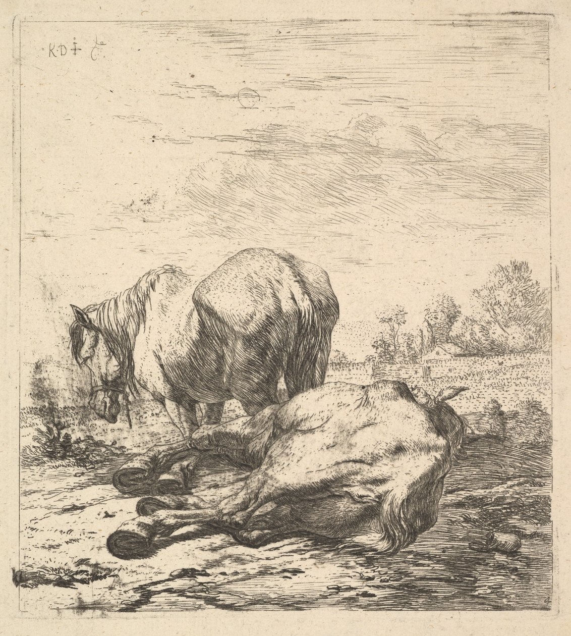 İki At, 17. yüzyıl. by Karel Du Jardin