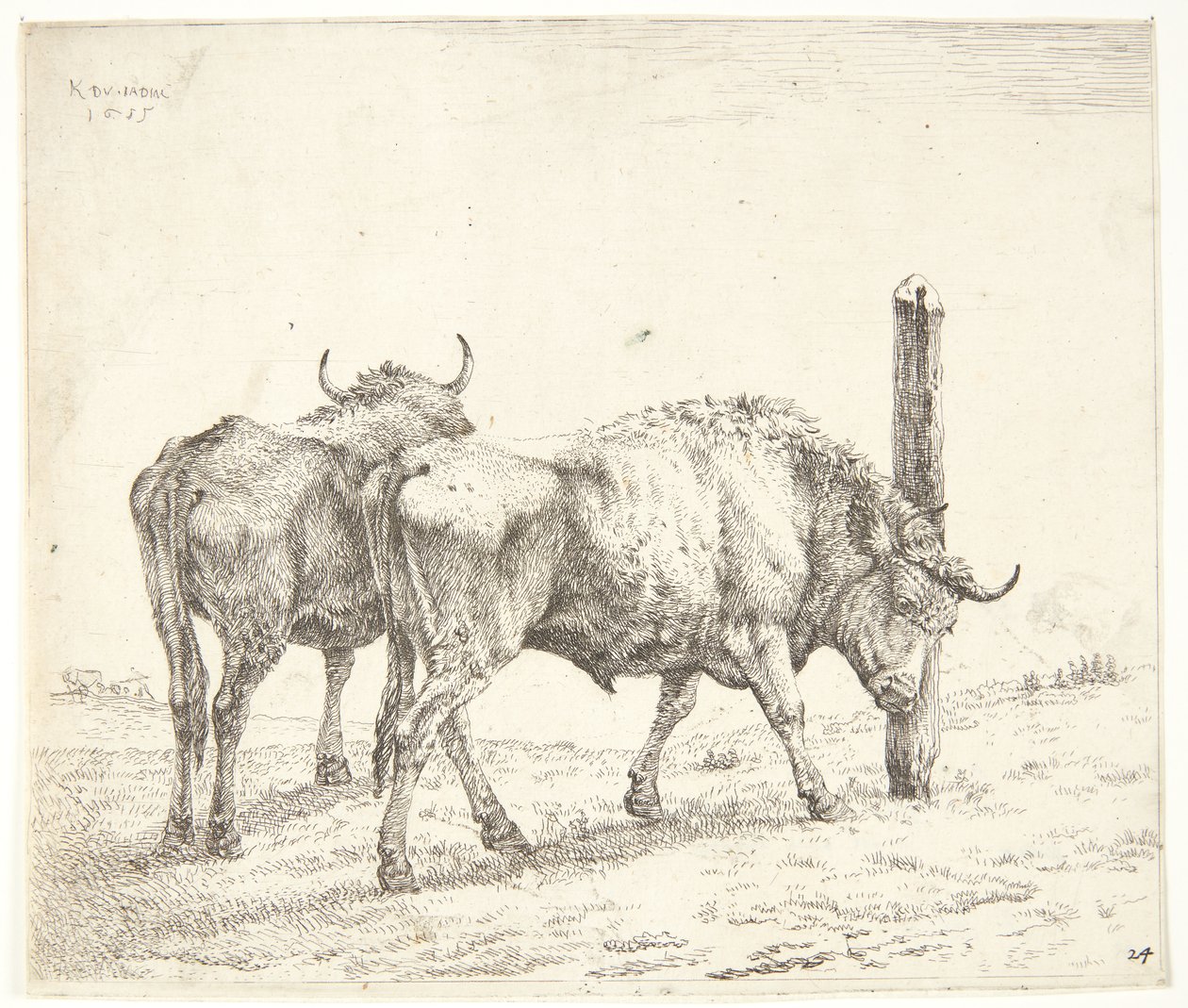 İki Öküz by Karel Du Jardin
