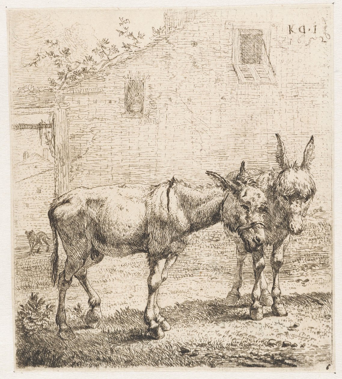 iki eşek Hayvanlar (dizi adı) by Karel Du Jardin