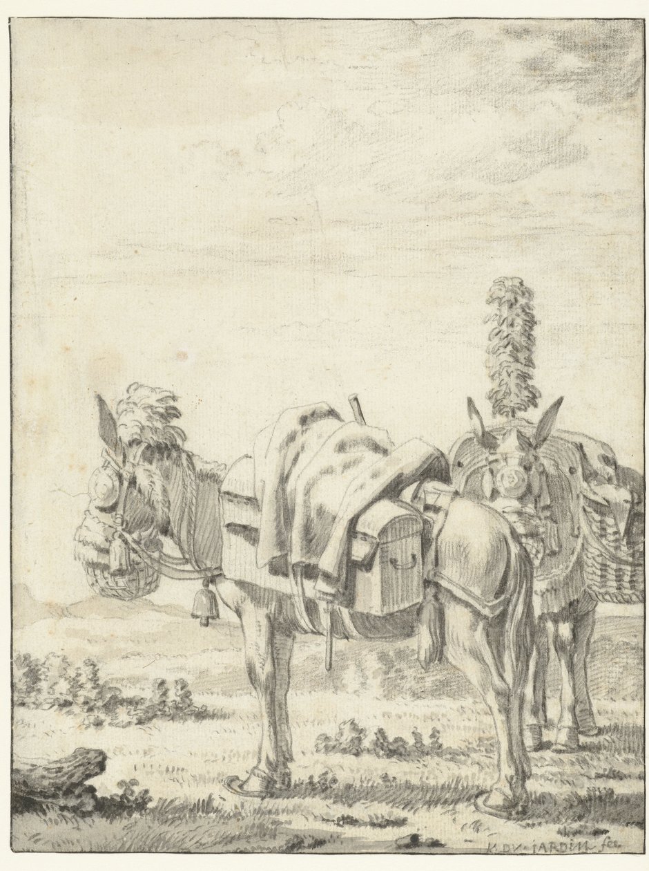 iki katır by Karel Du Jardin