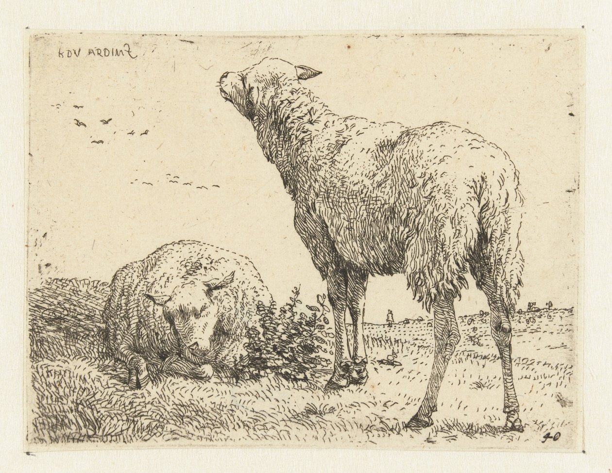 iki koyun by Karel Du Jardin