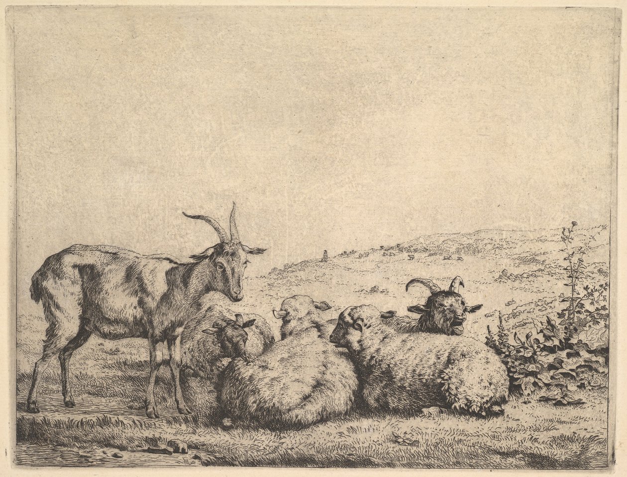 İki Keçi ve Üç Koyun, 1655. by Karel Du Jardin