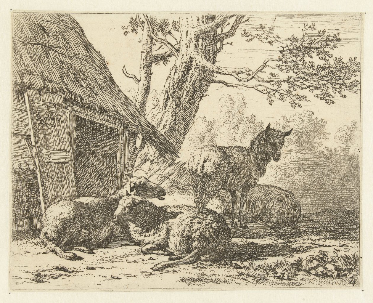 dört koyun by Karel Du Jardin