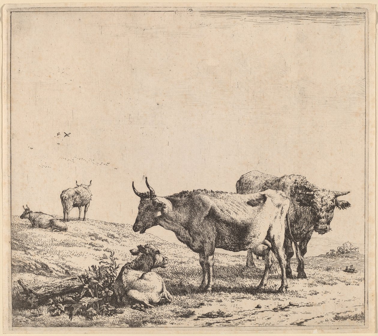 İnek, Boğa ve Buzağı by Karel Dujardin