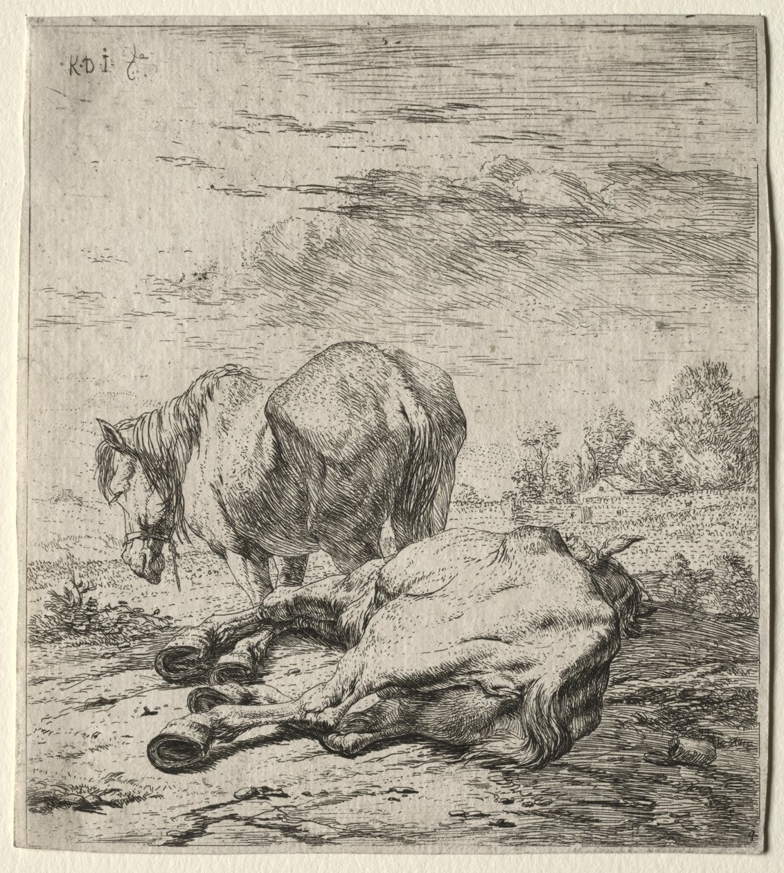 iki at by Karel Dujardin