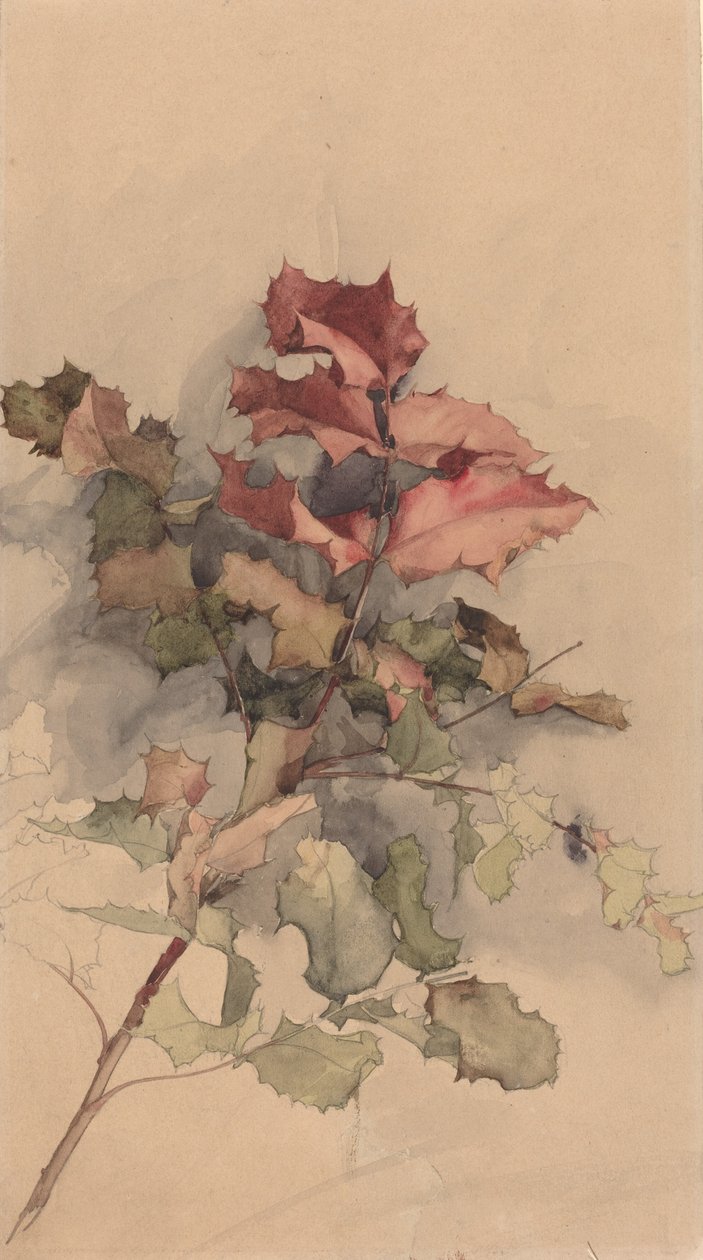 Çalı çalışması by Karel Vitezslav Masek