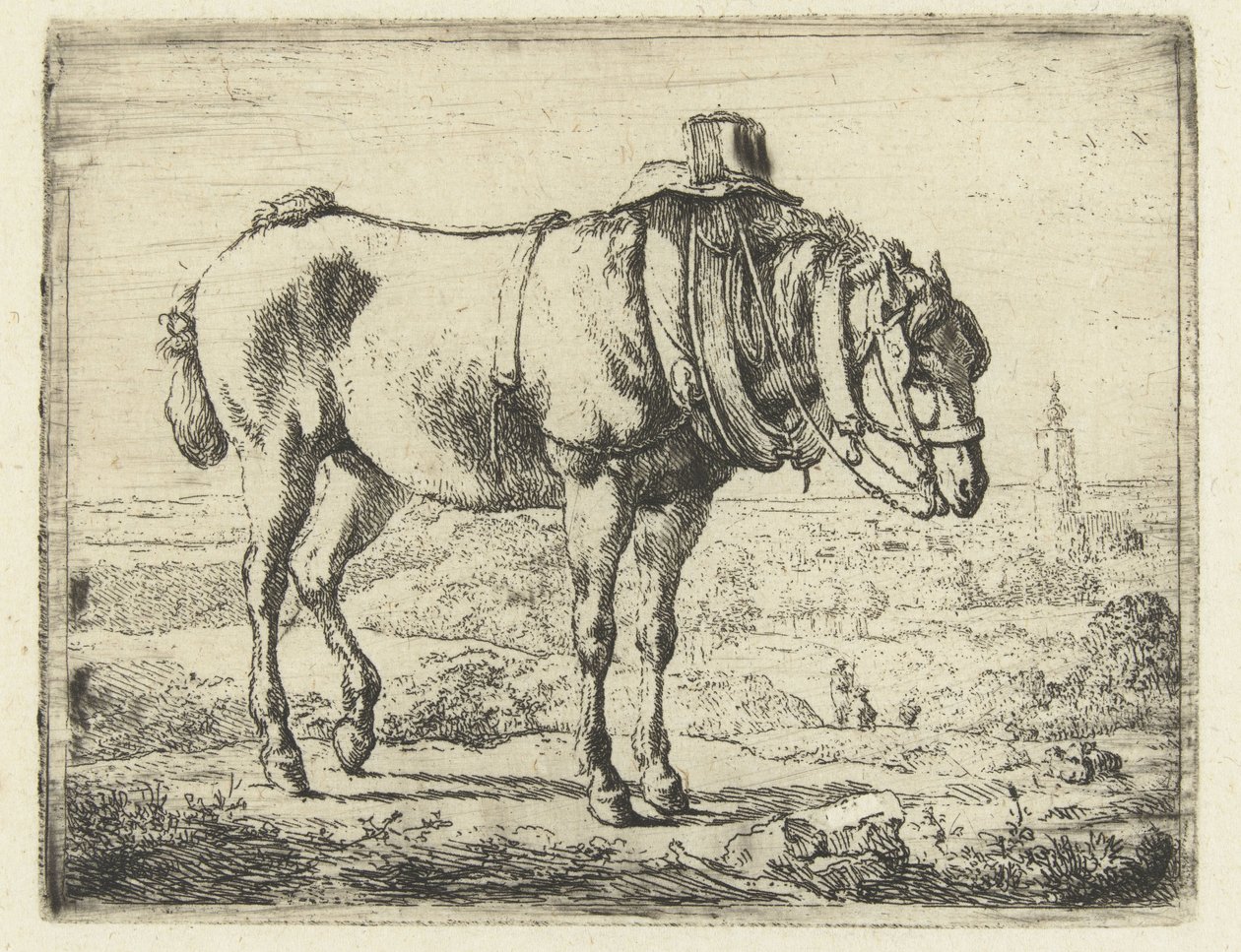 Bir beygir olarak koşum at by Karel du Jardin (possibly)