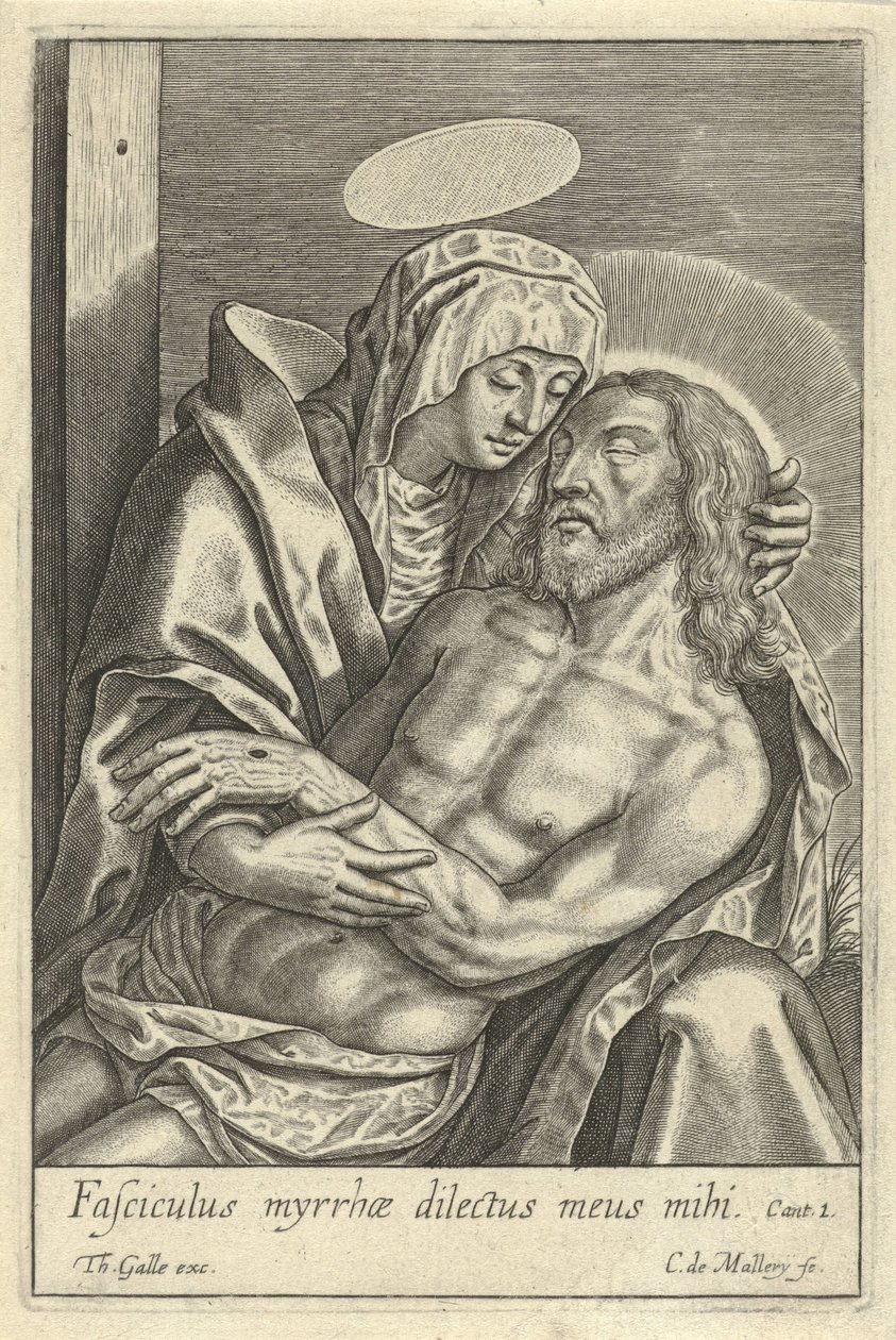 Meryemana resmi by Karel van Mallery