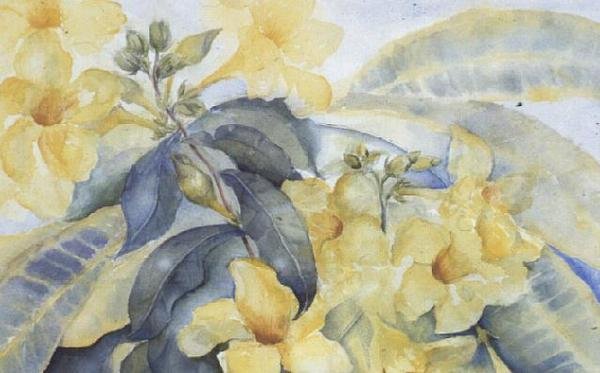 Alamanda veya sarı çan by Karen Armitage