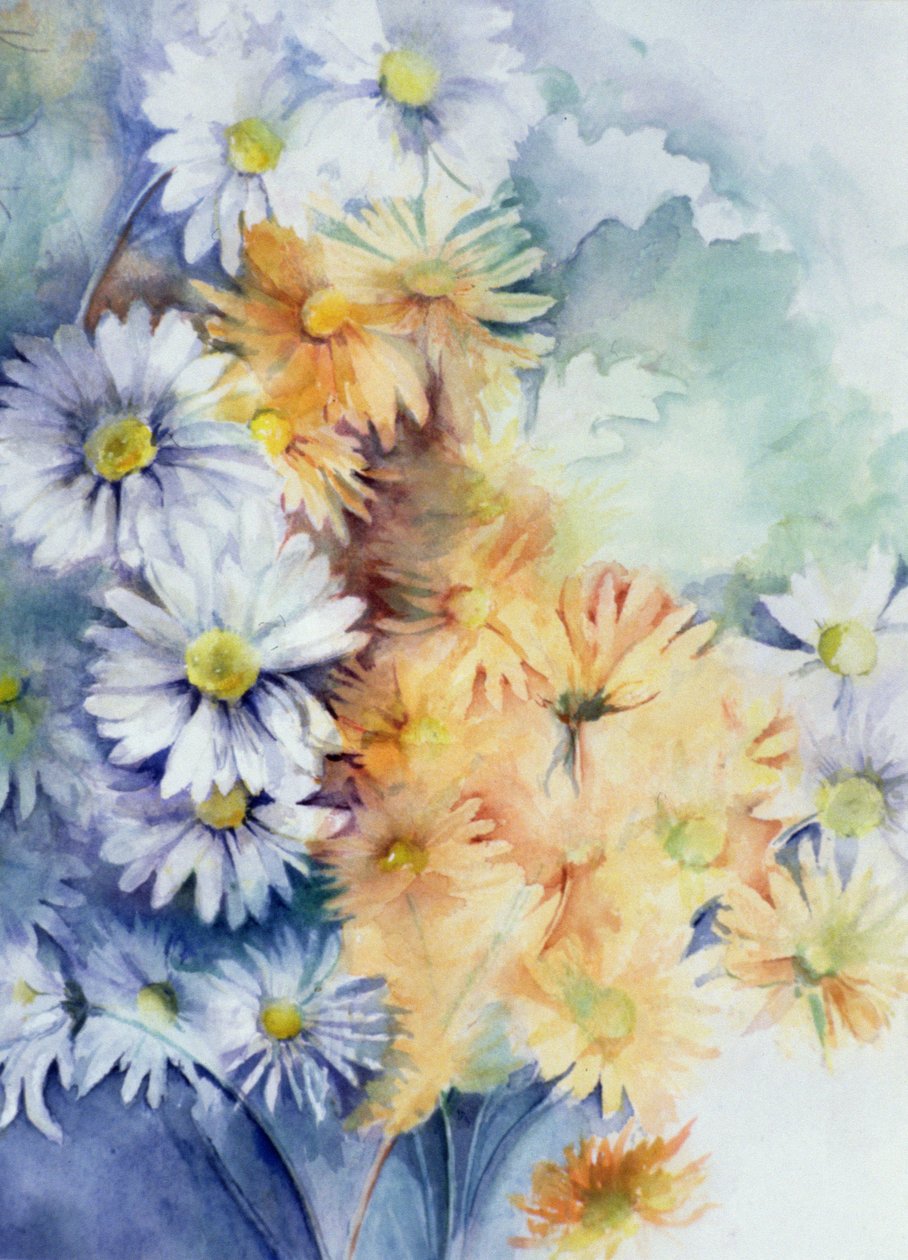 Krizantem, beyaz ve kayısı by Karen Armitage