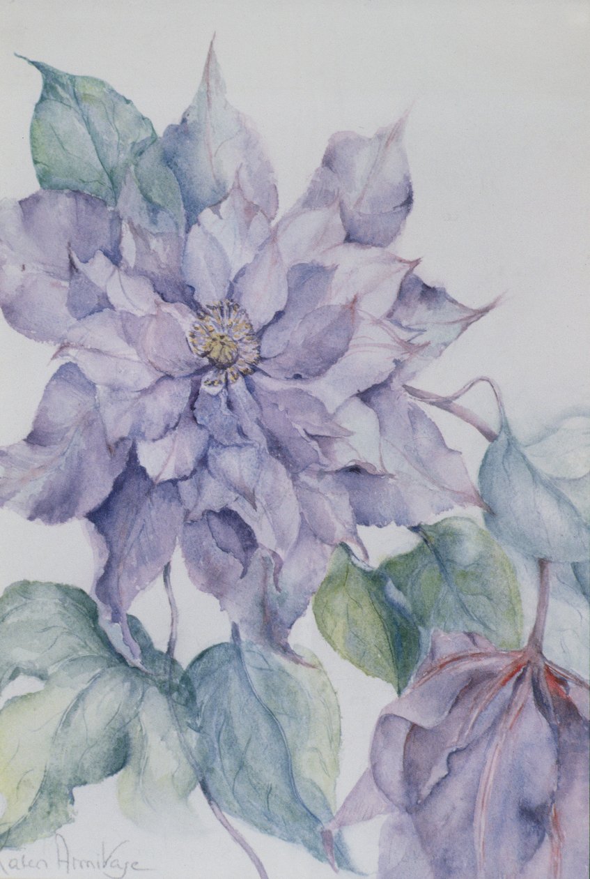 Akasma, Lord Neville by Karen Armitage
