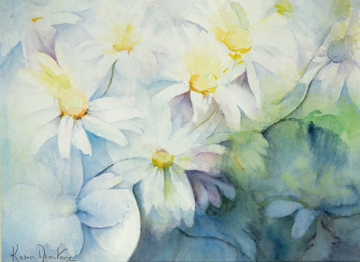 Papatyalar, Shasta by Karen Armitage