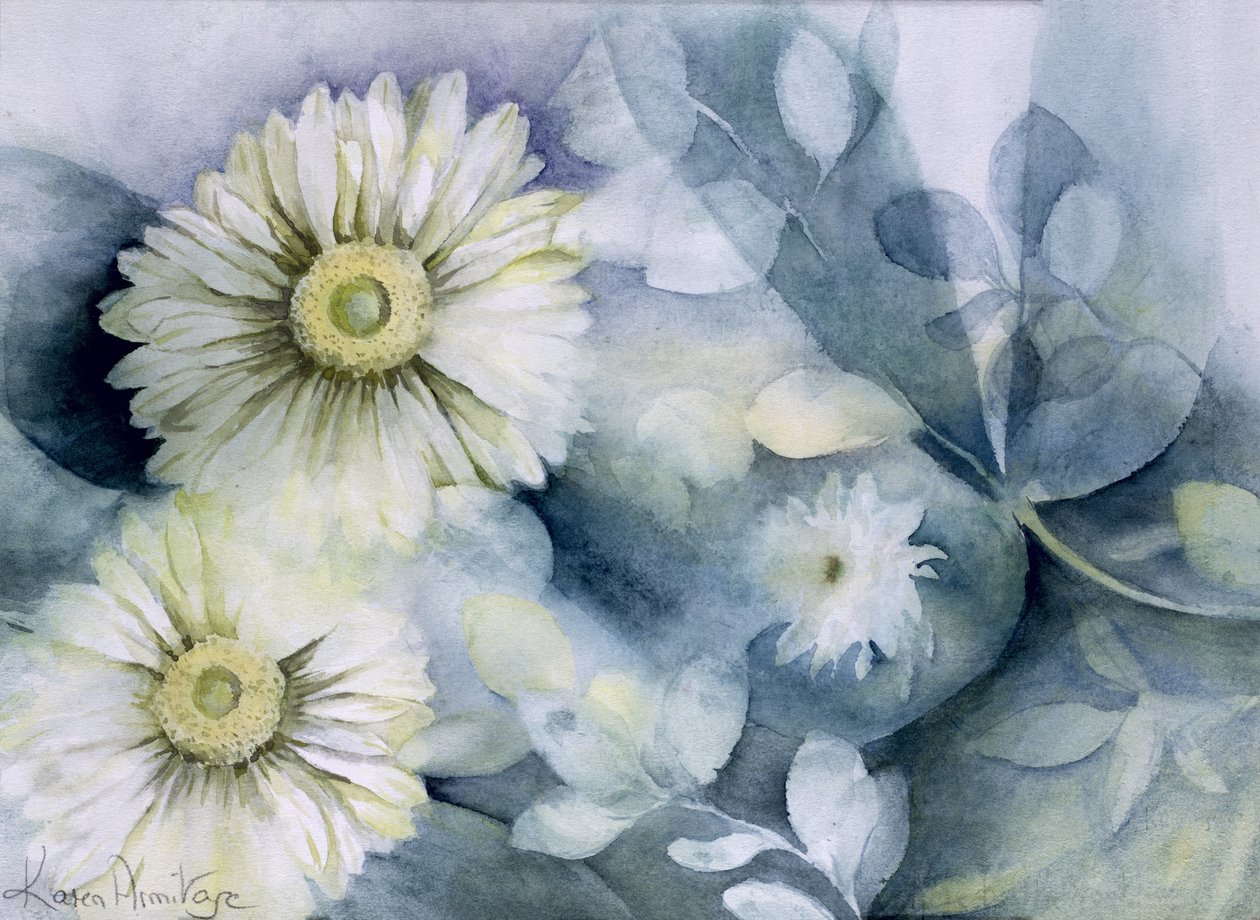 Gerbera Jamemura İyi by Karen Armitage