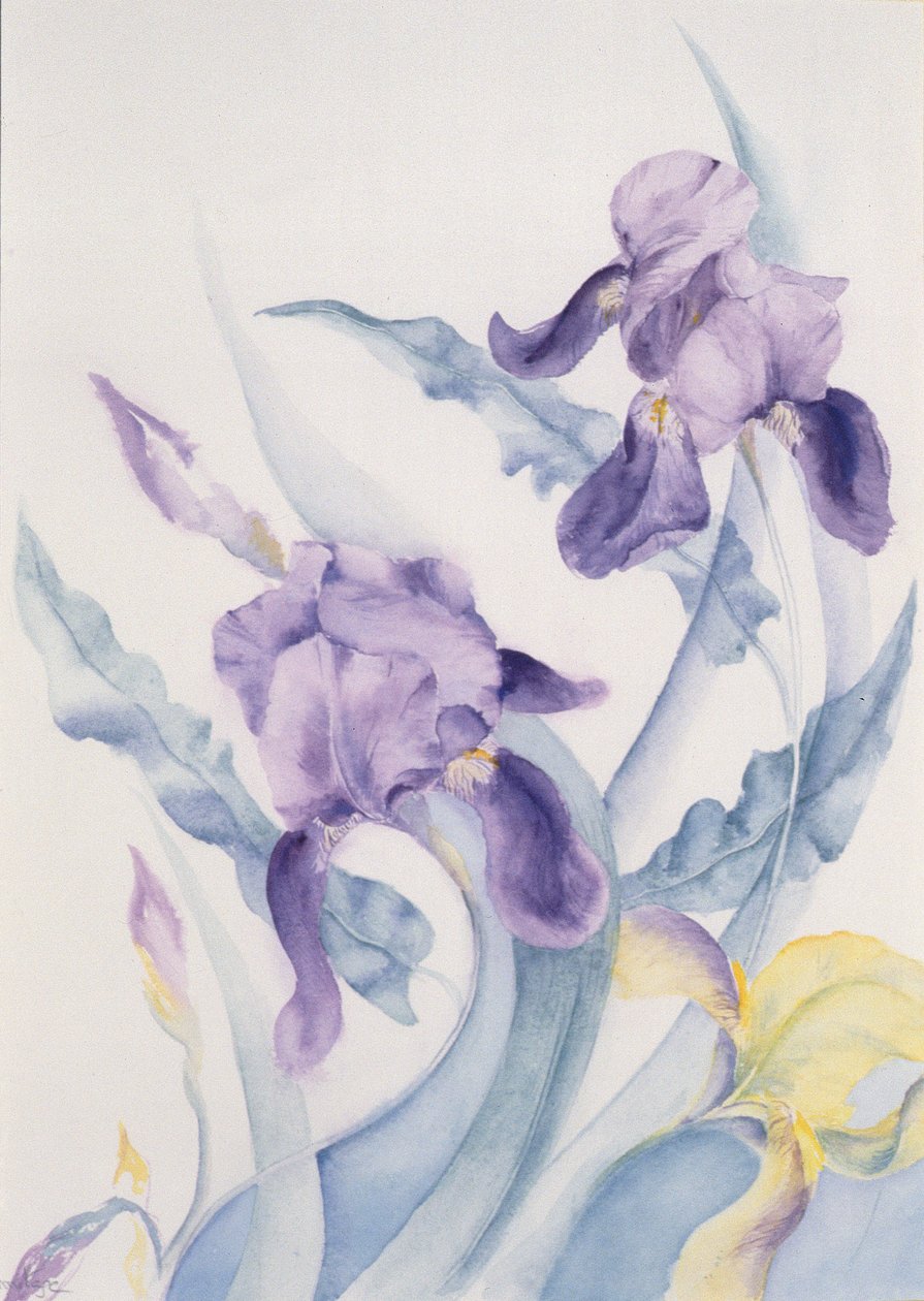 İris, mavi Kısrak by Karen Armitage