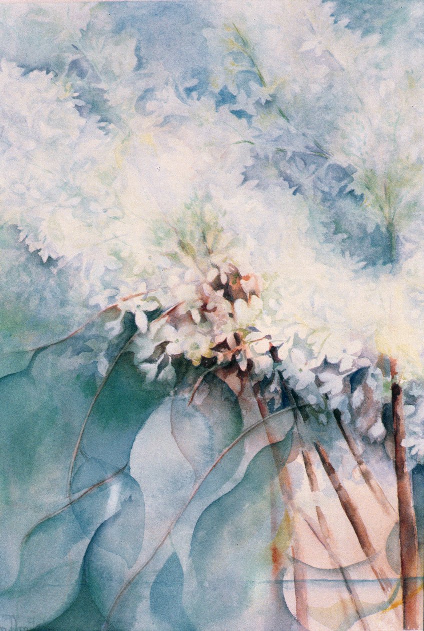 Leylak, Maud Norcut by Karen Armitage