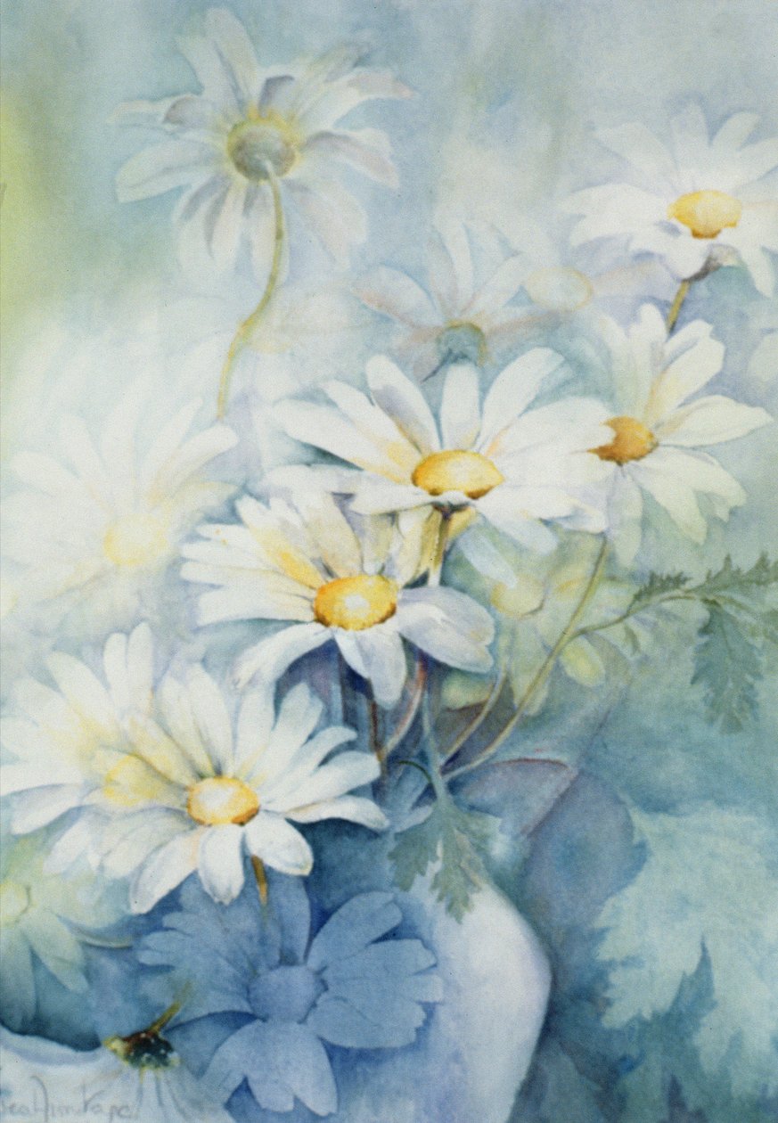 Marguerites, İskenderiye by Karen Armitage