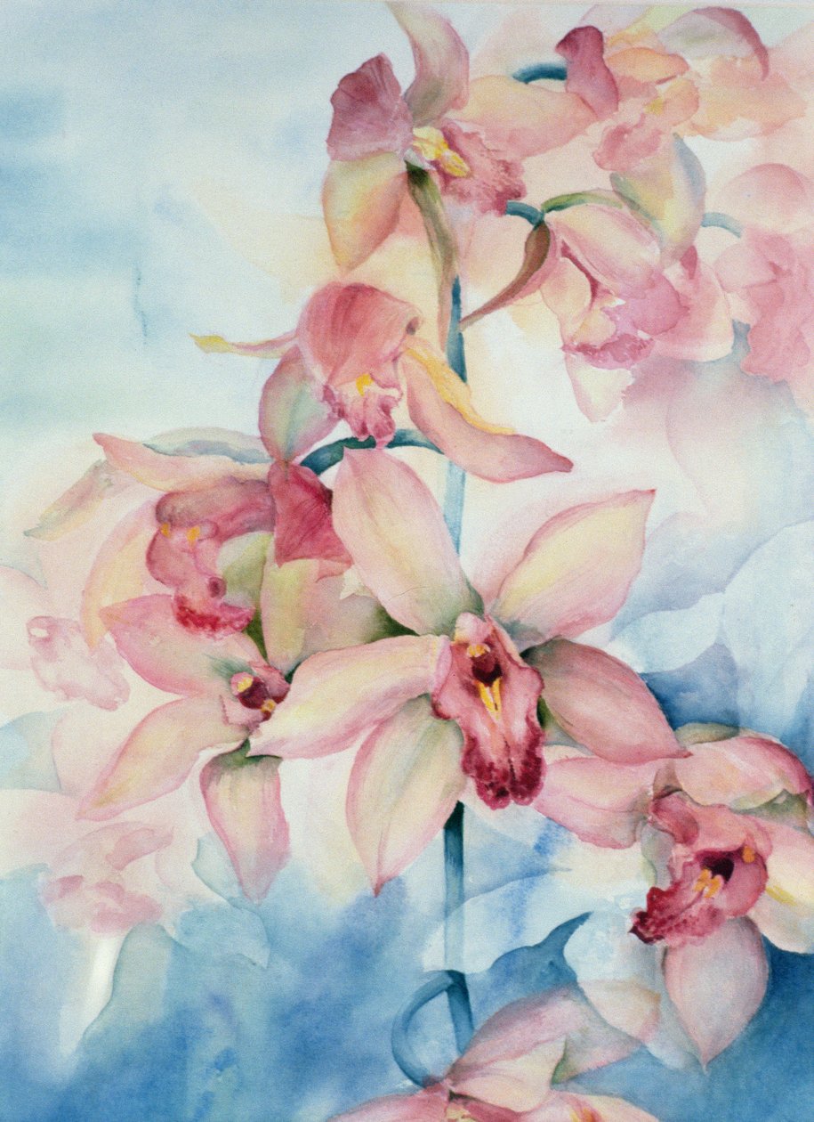Orkide Cymbidium Ramley by Karen Armitage