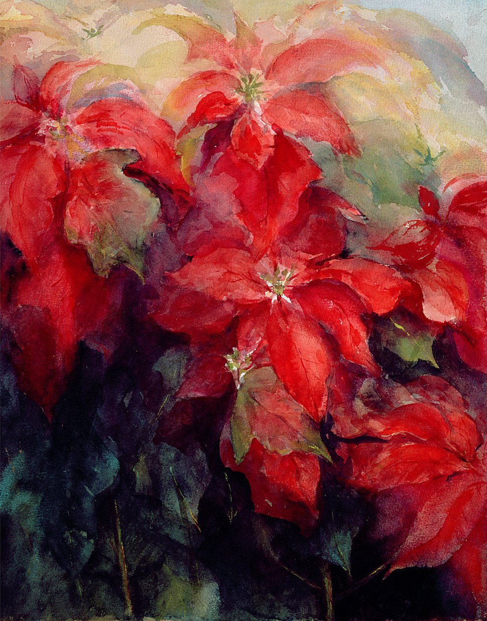 kırmızı Atatürk çiçeği by Karen Armitage