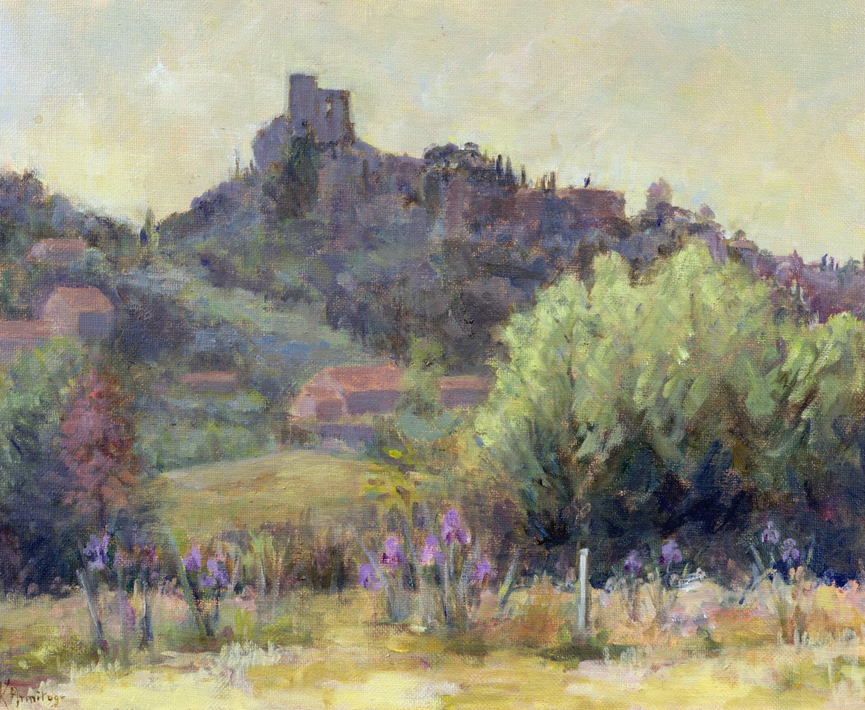 Vaison La Romaine, Vaucluse by Karen Armitage