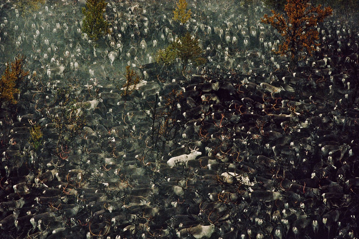  by Karen Kasmauski