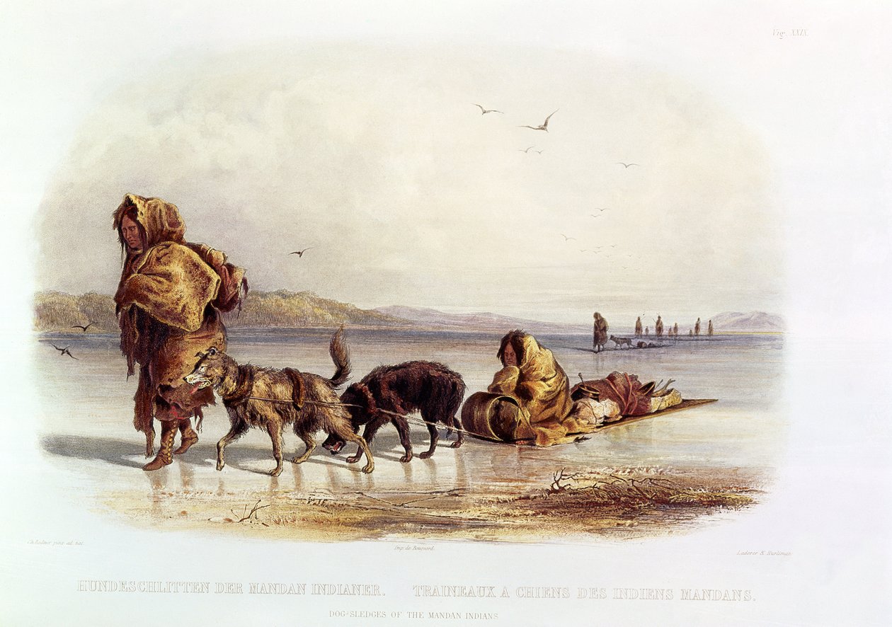 Mandan Kızılderililerinin Köpek Kızakları by Karl Bodmer