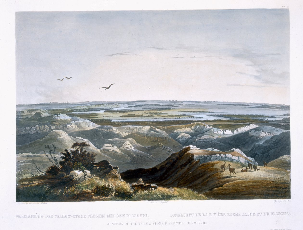 Sarı Taş Nehri'nin Missouri ile Kavşağı, Friedrich Salathe (1793-1858) 1844 (aquatint) tarafından oyulmuş 'Kuzey Amerika'nın İç Seyahatleri'nin 2. Cildinden 29 numaralı plaka by Karl Bodmer
