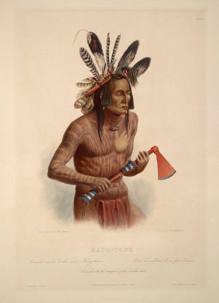 Mato-Tope, savaşçı eylemlerinin nişanlarıyla süslendi by Karl Bodmer