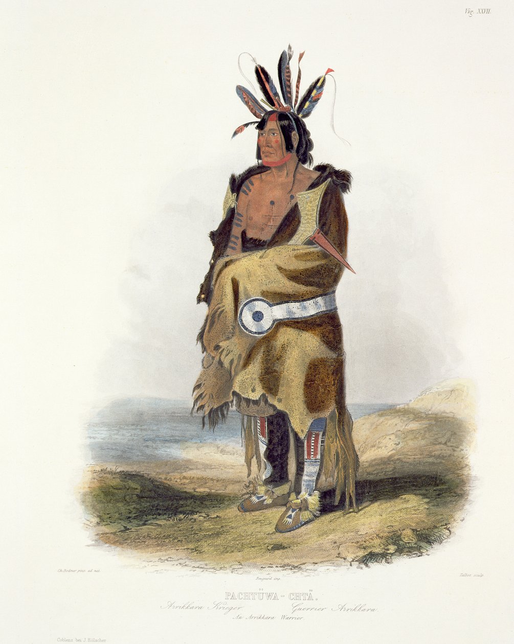 Pachtuwa-Chta, bir Arrikkara Savaşçısı, Talbot, 1843 (aquatint) tarafından oyulmuş 