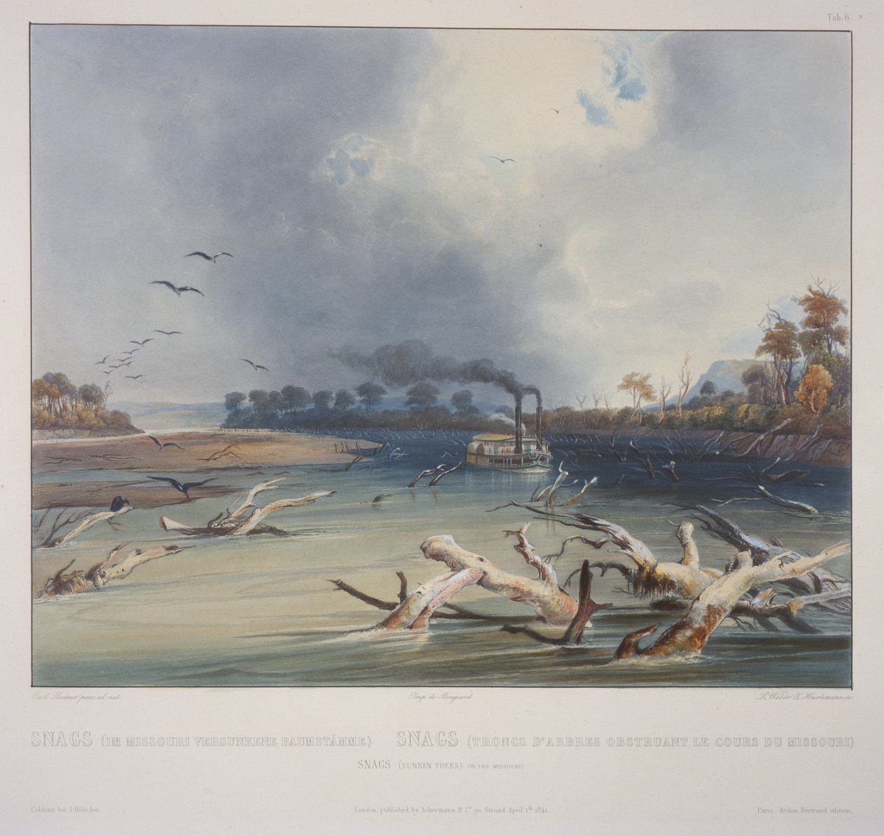 Snags (Sunken Trees) on the Missouri by Karl Bodmer