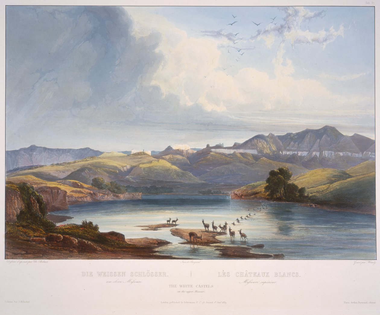 Guhiga idubu rya Grizzly by Karl Bodmer