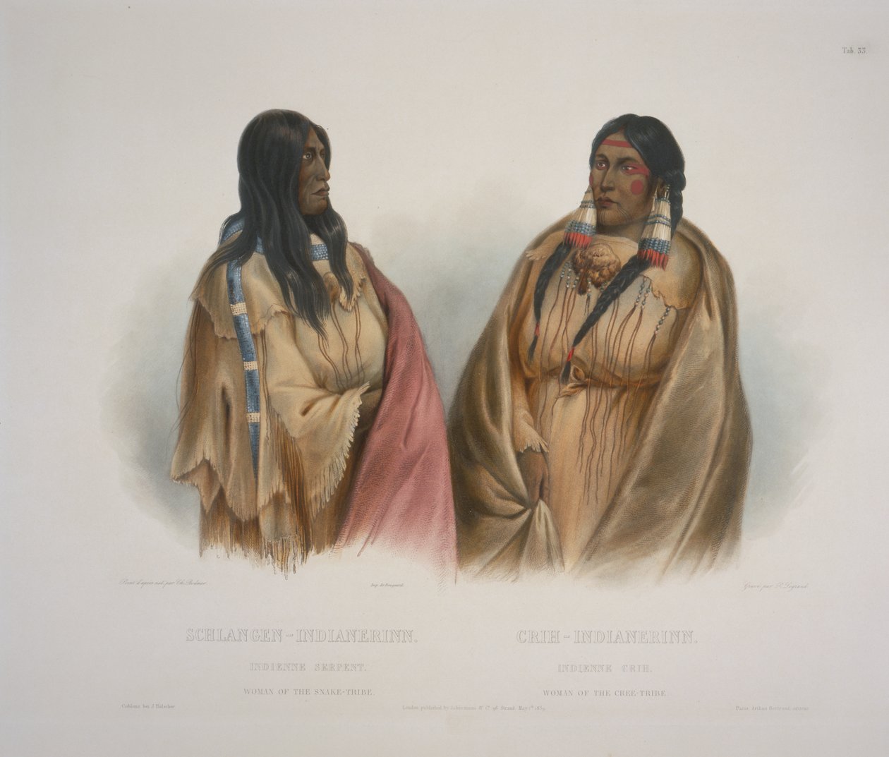 Yılan Kabilesinin Kadını, Cree Kabilesinin Kadını by Karl Bodmer