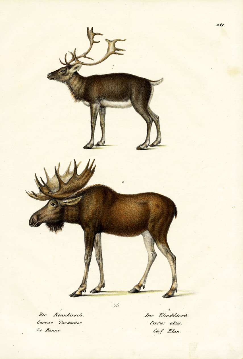 karibu, 1824 by Karl Joseph Brodtmann