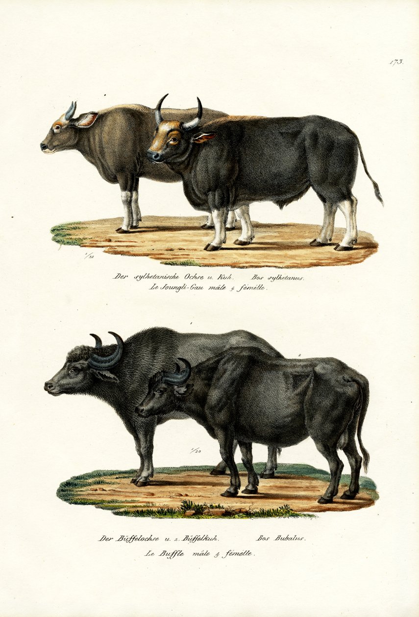 bugün, 1824 by Karl Joseph Brodtmann