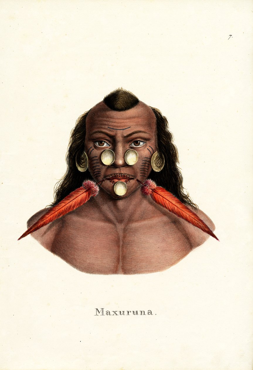 Perulu Kızılderili, 1824 by Karl Joseph Brodtmann