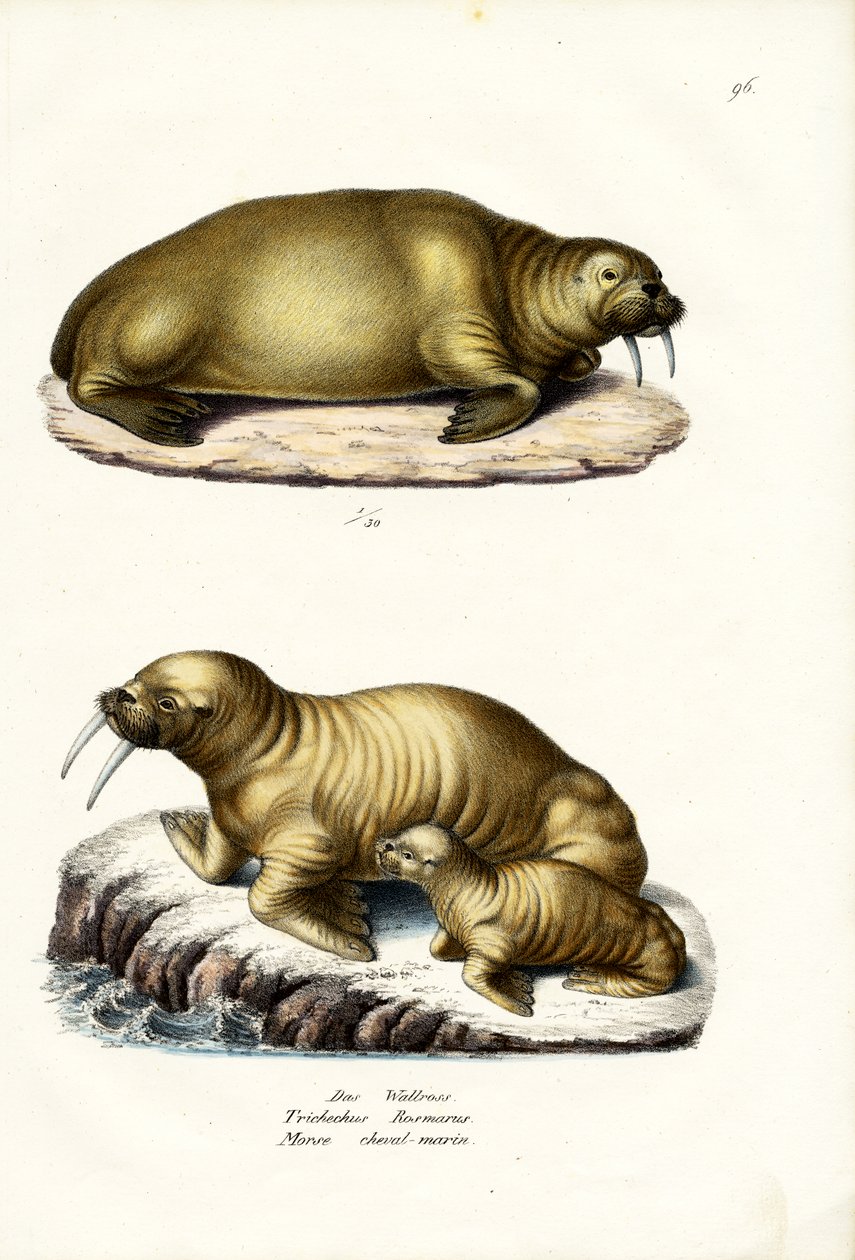 Mors, 1824 by Karl Joseph Brodtmann