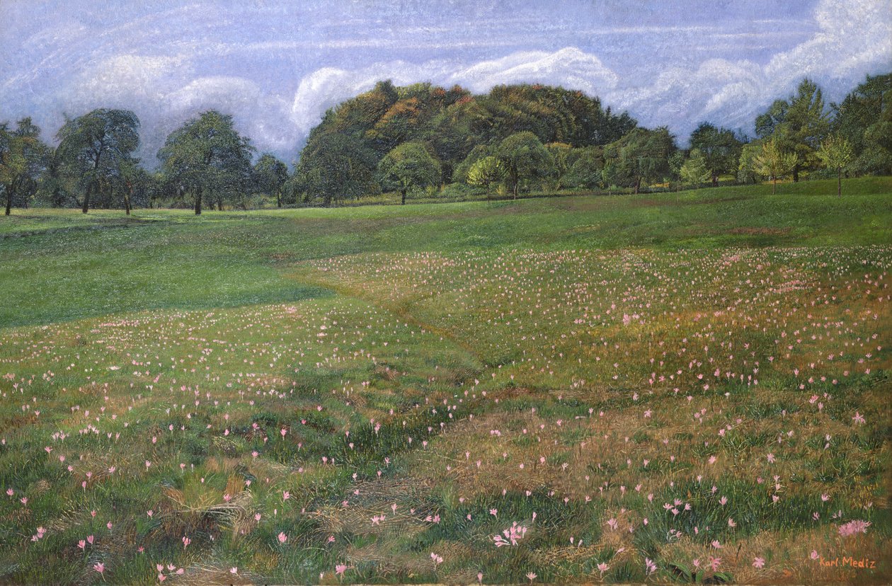 Bir Sonbahar Çiğdem Tarlası, 1908 by Karl Mediz