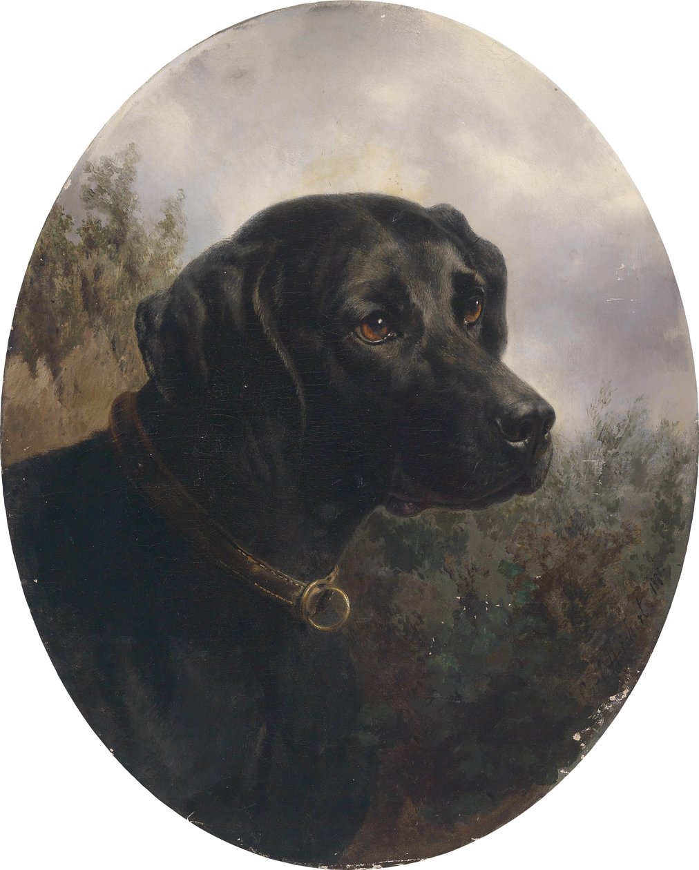 Hector, Arthur Ritter v. balığı by Karl Reichert