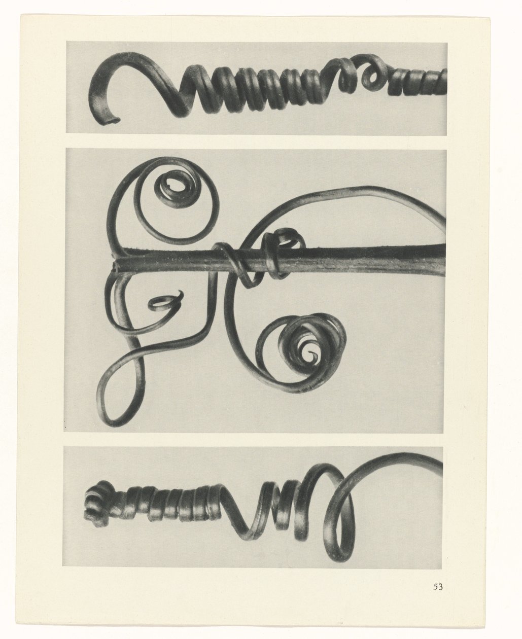 plan çalışması Sanat Arketipleri (dizi başlığı) by Karl Blossfeldt